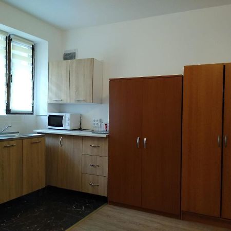 Garsoniera In Centru Lejlighed Cluj-Napoca Eksteriør billede