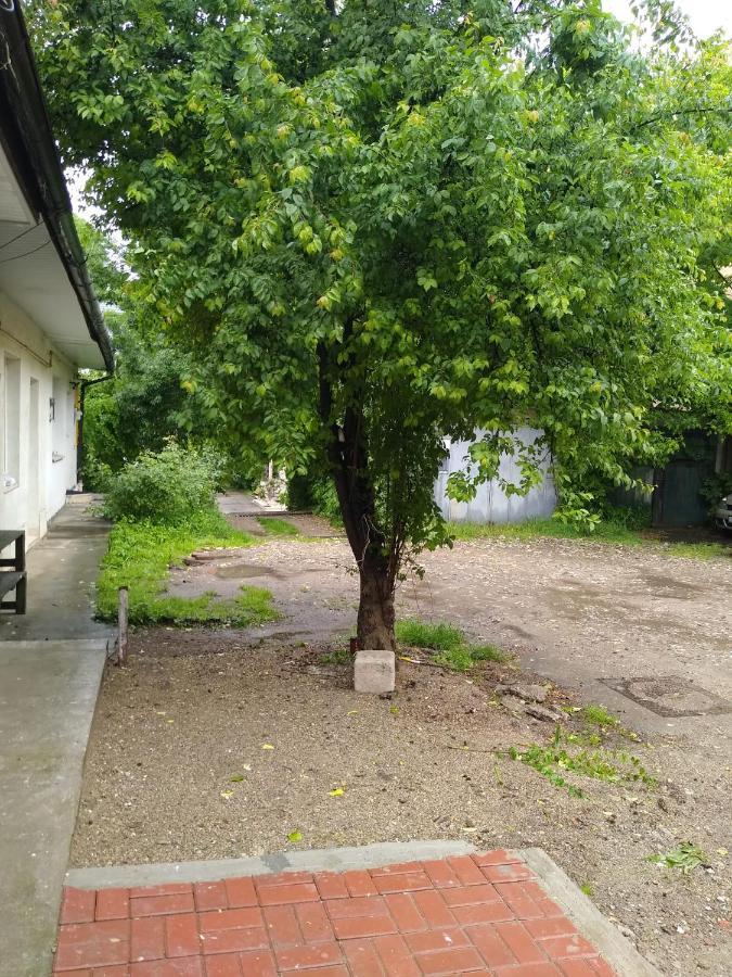 Garsoniera In Centru Lejlighed Cluj-Napoca Eksteriør billede